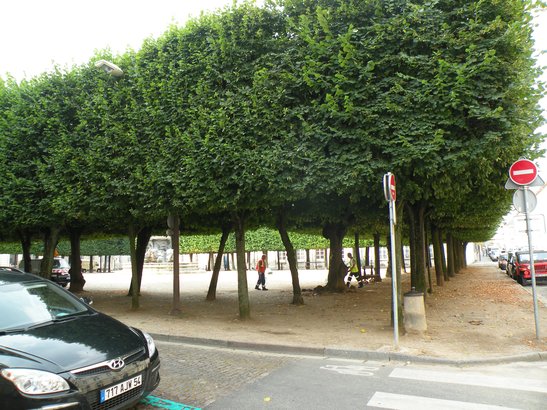  la place d'Alliance